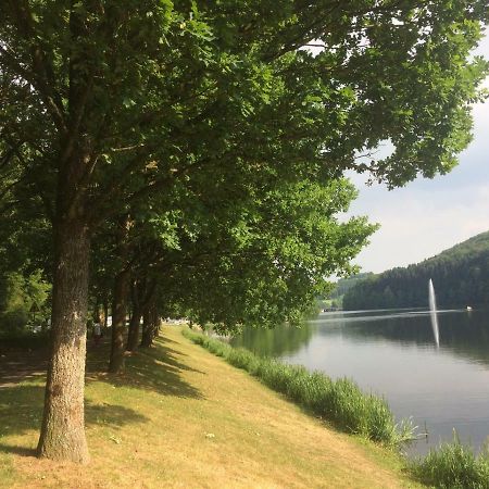 Blick In Die Suedeifel Biersdorf am See Luaran gambar