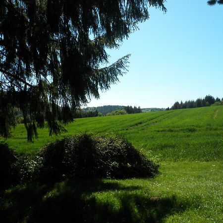 Blick In Die Suedeifel Biersdorf am See Luaran gambar