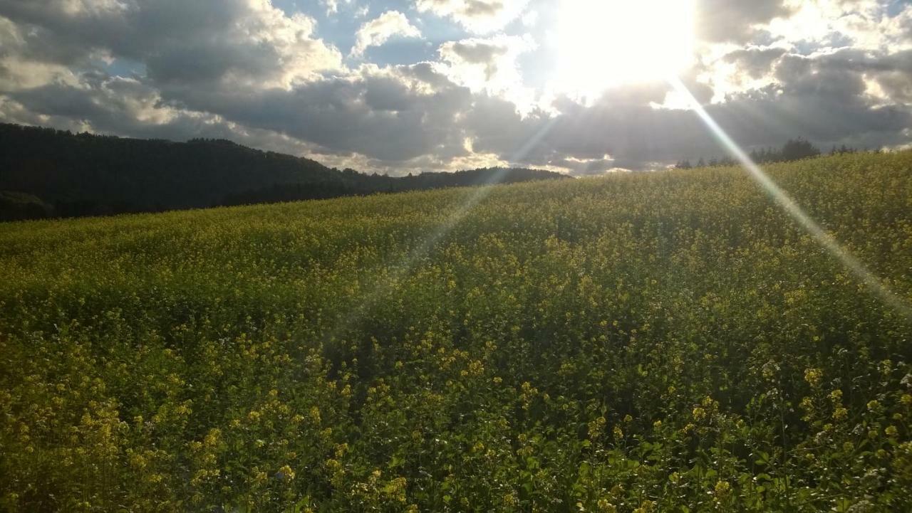 Blick In Die Suedeifel Biersdorf am See Luaran gambar